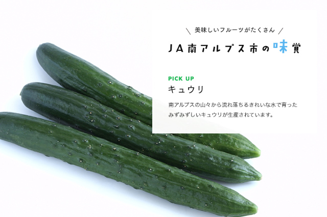 南アルプスの山々から流れ落ちるきれいな水で育ったみずみずしいキュウリが生産されています。