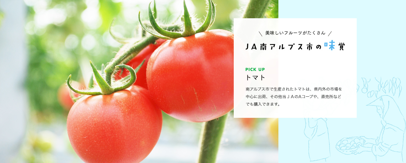 南アルプス市で生産されたトマトは、県内外の市場を中心に出荷、その他当ＪＡのAコープや、直売所などでも購入できます。