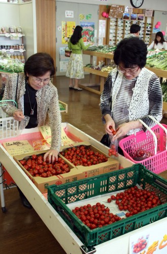 トマト詰め放題の様子