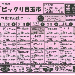 ビックリ目玉市（23.5.29～6.4）
