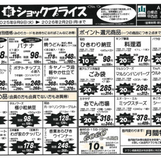 ショックプライス（25.9.9-26.2.2）